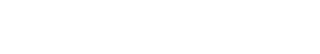 Nick Lapaev Logo